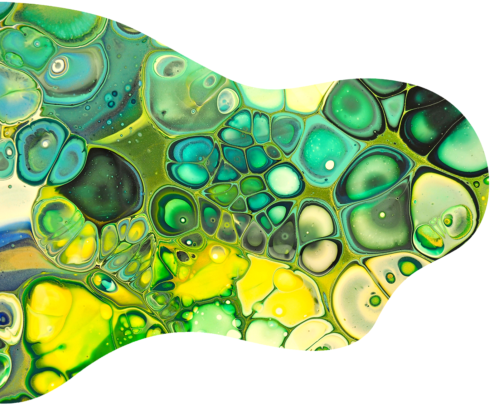 Fluid Art our Story